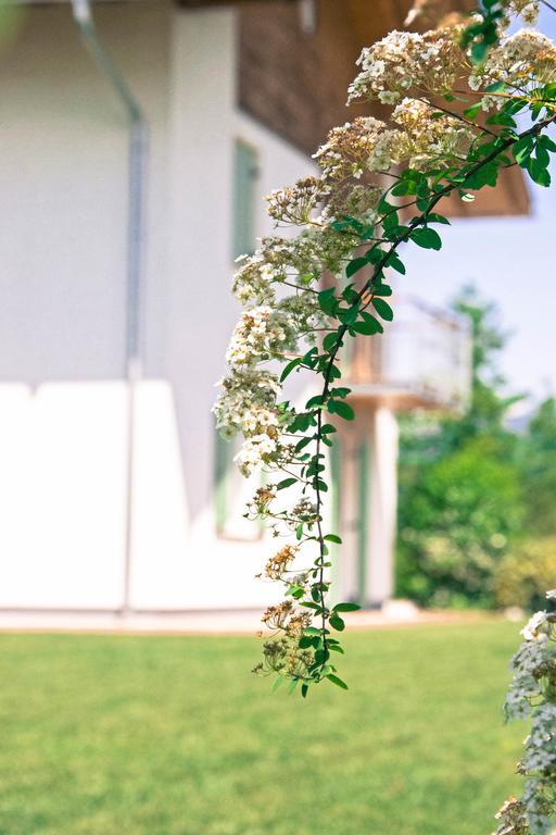 Agriturismo Locanda De L'Arguta เตรนโต ภายนอก รูปภาพ